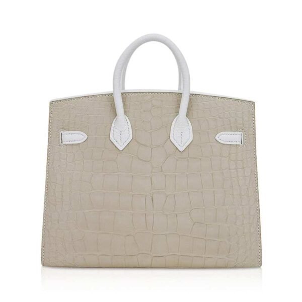 0201BE33-9EB8-22DC-4A94-F7C6B37DDDA9.jpg Limited Edition Birkin 20 Faubourg Sellier Bag Neige (Snow) White Matte Alligator