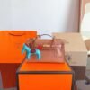 Mini Kelly 20 Bag