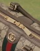Gucci Ophidia GG Mini