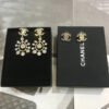 cc Earrings