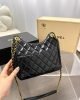 Chanel 23C Hobo New Gold Coin Bag