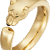0D1D378C-2D2A-8093-682E-992B29744D59.png PANTHERE DE RING