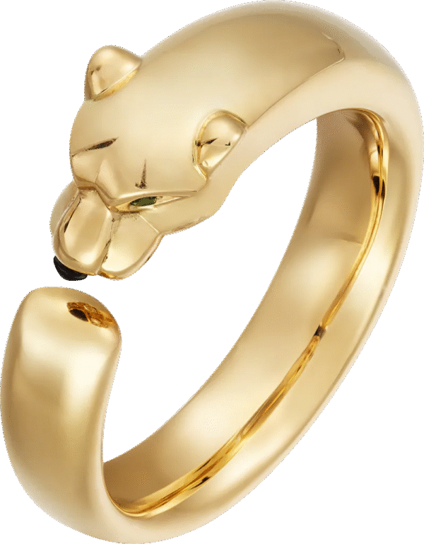 0D1D378C-2D2A-8093-682E-992B29744D59.png PANTHERE DE RING