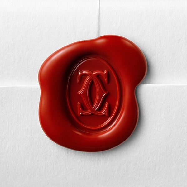 0FED2ED8-EB01-3E30-774B-A6D9479BFFF3.jpg ETINCELLE DE NECKLACE