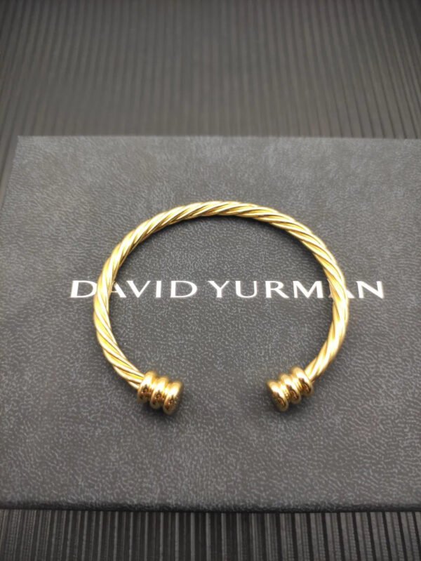 104F62E1-CCAD-ECC1-C875-FDC9325EF940.jpg 4mm Cable Classic Bracelet with Gold
