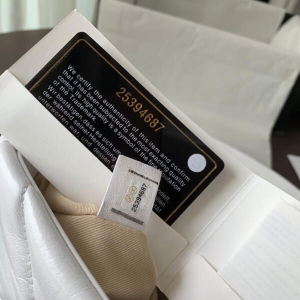 10E4F9A3-26F8-33B2-A056-071EAF55A9A6.jpg Chanel 19 Large Handbag AS1161