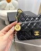 Chanel 23C Hobo New Gold Coin Bag