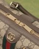 16788D92-F43B-DC27-D800-634F02E73A15.jpg Gucci Ophidia GG Small