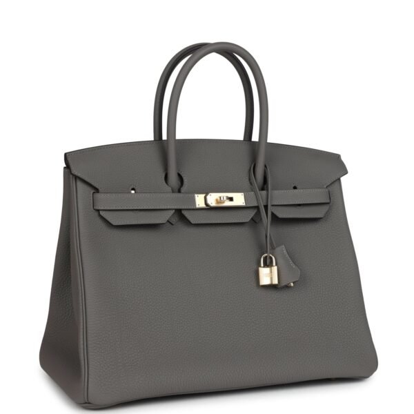 Birkin 35 Handbag Grey Togo with Gold Hardware