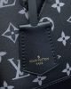 1842C5D1-E53A-3C45-67A0-C5D3F3901554.jpg Louis Vuitton Alma BB M12289
