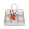 1B1AA2C4-FE1A-F443-0E1F-FA20360E0394.jpg Limited Edition Birkin 20 Faubourg Sellier Bag Neige (Snow) White Matte Alligator