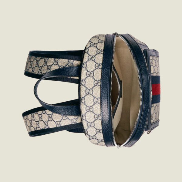 1CDC32C5-2EF4-0B66-6731-0ED6249AF5BF.jpg OPHIDIA SMALL BACKPACK