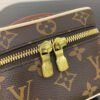 Louis Vuitton Nice Mini M44495