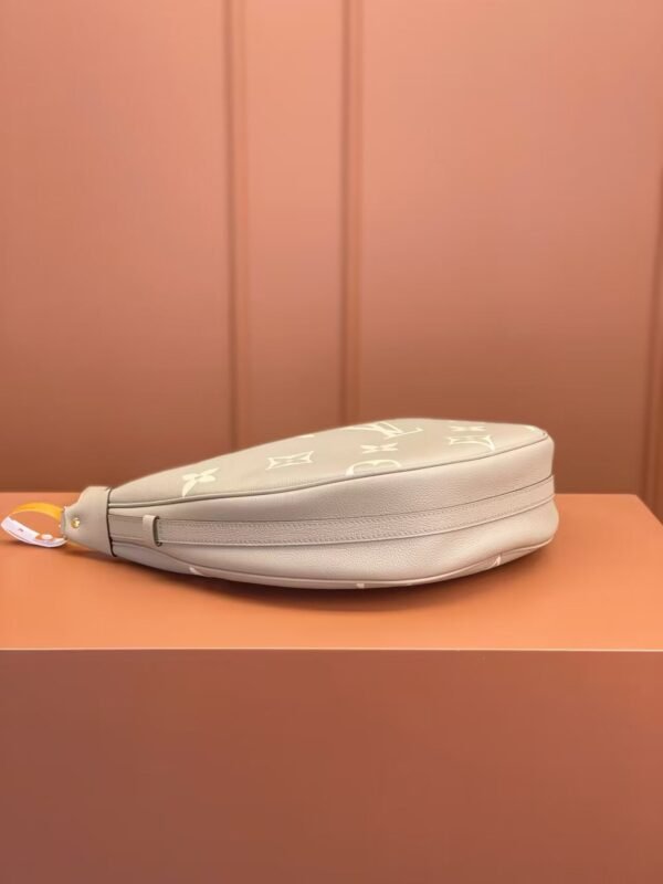 1E641565-98DB-3A36-5ECB-DFAC42EB1AD9.jpg Louis Vuitton Loop Hobo M46738