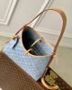 1F919544-FE42-0315-D257-39CC8962634D.jpg Louis Vuitton CarryAll PM M11462