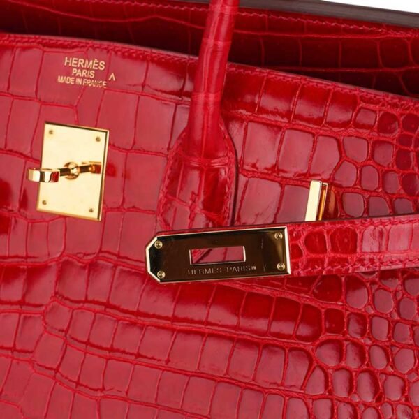 2131C007-CF69-5DAE-114F-0179410D5400.jpg Birkin 35 Bag Braise Porosus Crocodile with Gold Hardware
