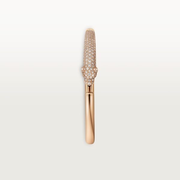 21C5FD5F-D887-0BCE-BA3D-F005189DFC62.jpg PANTHÈRE DE BRACELET