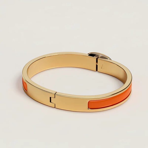24958EB6-A405-F3C0-2651-EEC346B0C1C3.jpg Hermes Mini Clic Chaine d'Ancre bracelet
