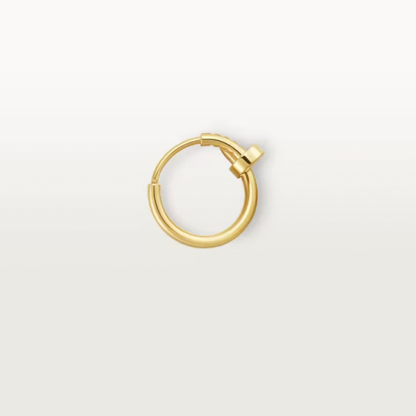 261D6DB4-3494-C99B-57FC-756FA2197426.png JUSTE UN CLOU EARRING