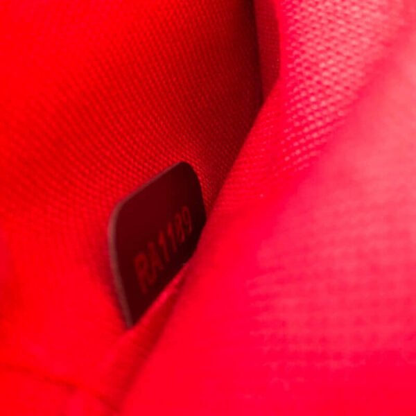 Louis Vuitton Favorite MM N41129