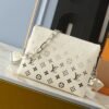 28897EE6-9848-150E-6CAD-DE5368EFAC4F.jpg Louis Vuitton M11986 Coussin PM