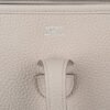 2B89D7D0-FC2D-CFA3-DC03-990F8C2C76E0.jpg Evelyne PM Bag Beton Palladium Hardware Clemence Leather bag