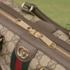 2C242089-7DDB-A0C6-F546-58A32474E923.jpg Gucci Ophidia GG Small
