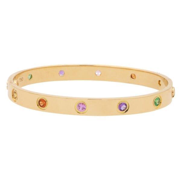 2E2FC3F9-4C35-E351-B6B5-A5F910B9124E-1.jpg Multi Gem Love Bracelet in 18k Yellow Gold