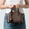 Louis Vuitton Alma BB N41221