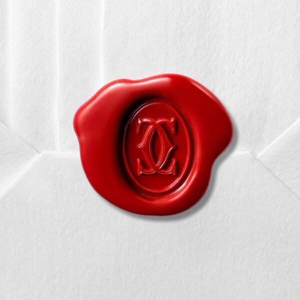 31BF2F83-5742-89C2-ED01-E49A874E2246.jpg LOVE BRACELET