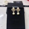 3326B3D7-9B6F-68B9-ECFB-28E96E1F6A22.jpg cc Earrings