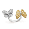 Two Butterfly Between the Finger ring