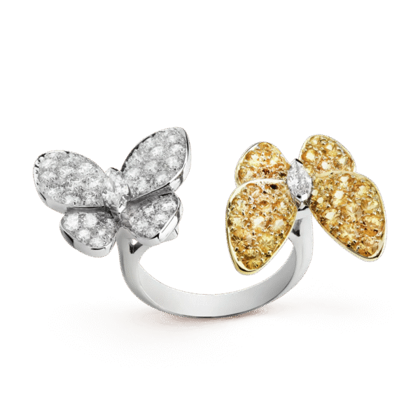Two Butterfly Between the Finger ring