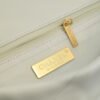 34D4E898-6FD0-C19E-BA66-11CD0CAE2EAE.jpg Chanel 19 Handbag AS1160