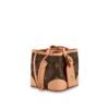 34F9E730-5572-D409-B00D-BC1D6A7E05C2_93d82cf6-2cf8-4c30-b3a8-b6897256a16d.jpg Noe Purse Bag M57099