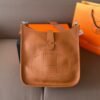 388F7A36-AD83-1C67-9C1A-AE5C108EF110.jpg Evelyne 25 bag