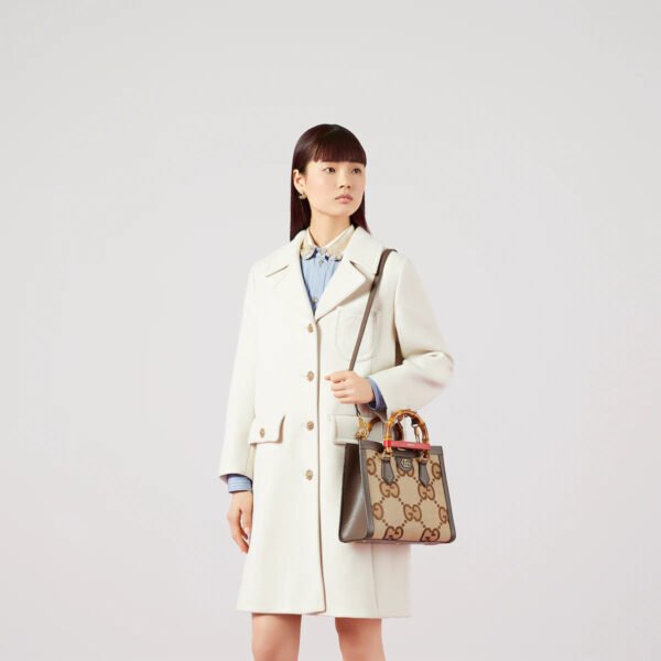 3BB6DE11-86C6-662F-7F88-3B9E0D217BBB_bc0e716c-c62f-45b8-ac06-d7173f7e3498.jpg DIANA JUMBO SMALL TOTE BAG