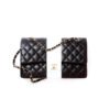 3D421075-E483-35FF-D004-5D0C4305EE7B.jpg Chanel Classic Handbag Lambskin & Gold Metal A01112