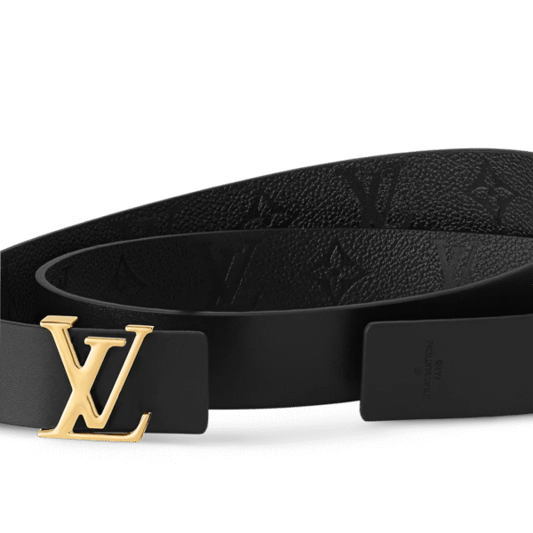 3D70C283-DF84-0758-C1CB-16C943CC43AB.png Iconic 30mm Reversible Belt