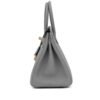 Birkin 25 Gris Mouette Togo Gold Hardware