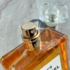 3E469AA3-CEF7-9877-E8D5-59D38A85C8EE.jpg GABRIELLE CHANEL CLASSICS
