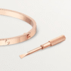 418A65B4-8AB3-62FF-782E-1EA2B26CC900-1.png LOVE BRACELET, SMALL MODEL