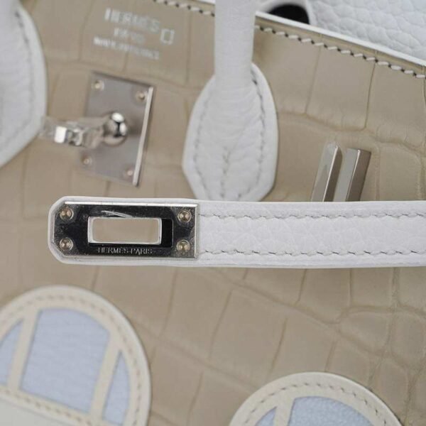 41C9F09E-E0F8-142A-EB78-03E3239AD69D.jpg Limited Edition Birkin 20 Faubourg Sellier Bag Neige (Snow) White Matte Alligator