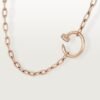 448C8714-7BBE-1310-F7D4-4D3E8EDB8AE6.jpg JUSTE UN CLOU NECKLACE