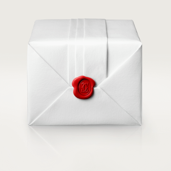 CLASH DE  EARRINGS SMALL MODEL