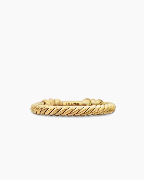 46E2F453-A5FF-C42C-53D5-2091BE6A6456.jpg Petite Helena Wrap Band Ring 18K Yellow Gold with Diamonds - 6