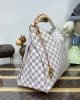 Louis Vuitton Artsy MM N40253