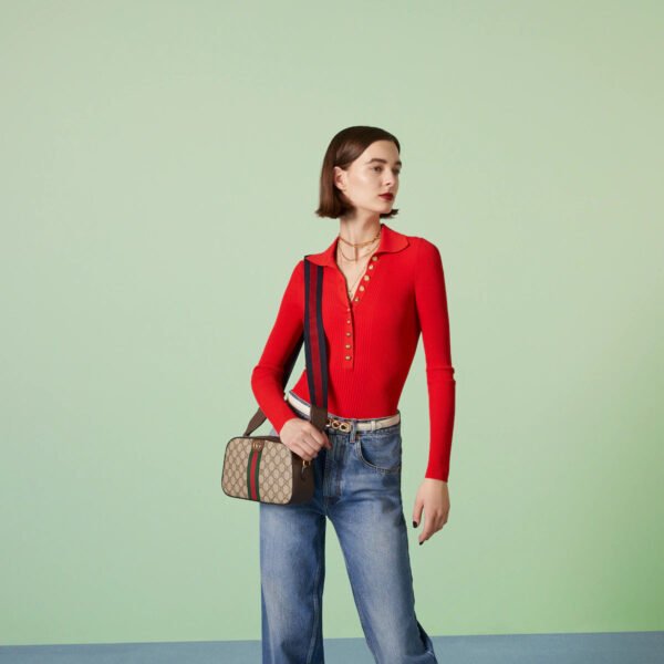 48928410-05F5-D633-CB73-44083E1F22EC.jpg OPHIDIA SMALL SHOULDER BAG