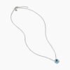 499EB8A4-79FC-31C9-19F8-B1C8CF9E1514.jpg Petite Chatelaine® Necklace Sterling Silver with Blue Topaz, 10mm
