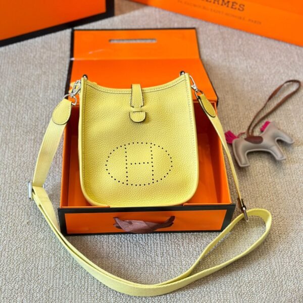 4A72139F-6137-BFEE-79E6-47F792CEB601.jpg Evelyne PM Bag